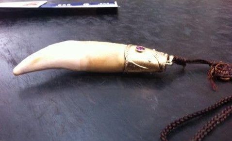 云南昆明長(zhǎng)水機(jī)場(chǎng)X光機(jī)大顯神威嗅出老虎牙齒[圖]