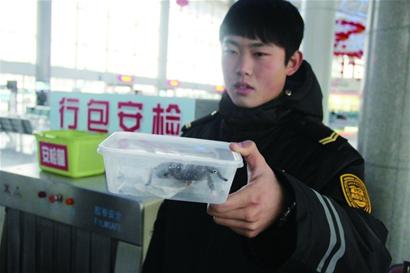 青島車站行李安檢機掃描發(fā)現(xiàn)毒蜘蛛[圖]